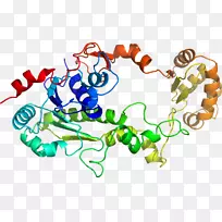 人体首饰有机体线剪贴画线-空若网 人体首饰有机体线剪贴画线-空若网