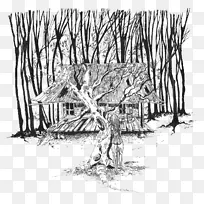 视觉艺术草素描蒲公英-空若网 视觉艺术草素描蒲公英-空若网