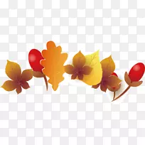 花卉设计枫叶枫叶图片-空若网 花卉设计枫叶枫叶图片-空若网