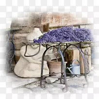 Ӣ��޹�²ݷ���޹�²���������˹ֲ��-޹�²�-������