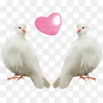 ��ʳ�ײ����廨��-����-������