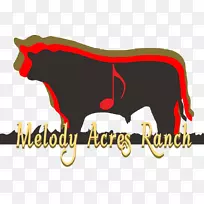 奶牛,澳大利亚低线肉牛,牛和牛-牧场-空若网 奶牛,澳大利亚低线肉牛,牛和牛-牧场-空若网