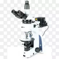 岩石显微镜,岩石学,偏光双筒显微镜-空若网 岩石显微镜,岩石学,偏光双筒显微镜-空若网