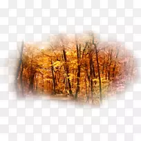 桌面壁纸桌面隐喻桌面环境桌面计算机-空若网 桌面壁纸桌面隐喻桌面环境桌面计算机-空若网