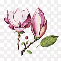 花花-空若网 花花-空若网