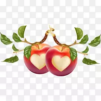 心形苹果载体-空若网 心形苹果载体-空若网