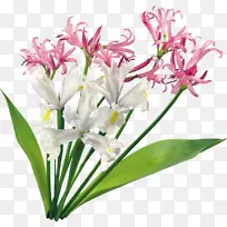 花卉设计插花艺术.装饰花束-空若网 花卉设计插花艺术.装饰花束-空若网