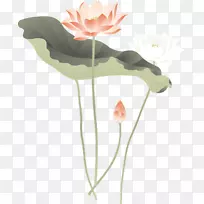 插花艺术-荷叶-空若网 插花艺术-荷叶-空若网