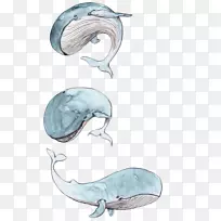 Ë®²Ê»ËØÃè-¿ÕÈôÍø Ë®²Ê»ËØÃè-¿ÕÈôÍø