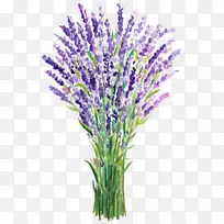 Ó¢¹úÞ¹Ò²ݷ¨¹úÞ¹Ò²ÝË®²Ê»-À¶É«Þ¹Ò²Ý-¿ÕÈôÍø Ó¢¹úÞ¹Ò²ݷ¨¹úÞ¹Ò²ÝË®²Ê»-À¶É«Þ¹Ò²Ý-¿ÕÈôÍø