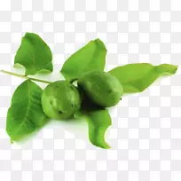 ��������ȻʳƷ-��Ҷ��-������