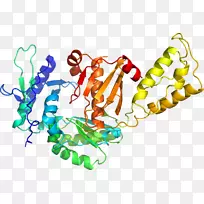 人体首饰有机体线剪贴画线-空若网 人体首饰有机体线剪贴画线-空若网