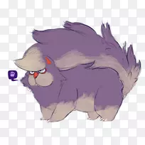 胡须,猫,马,鼻子,狗-猫-空若网 胡须,猫,马,鼻子,狗-猫-空若网