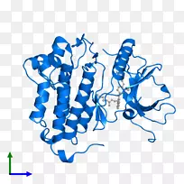 �ߵ������������-������