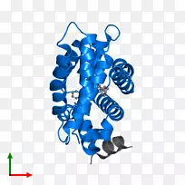 线条有机体剪贴画线-空若网 线条有机体剪贴画线-空若网