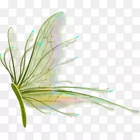 ��������ëͼ.����-������