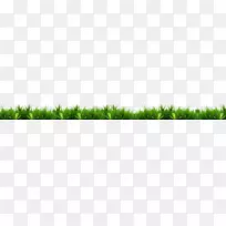 绿草叶植物茎科创新型草-空若网 绿草叶植物茎科创新型草-空若网