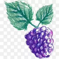 ����Ҷ��Ҷ��Ϳ��ɫ����-������