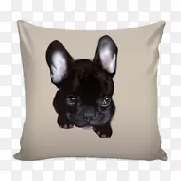 Ͷ����ͷ�����棬ɳ������-��ͷ-������