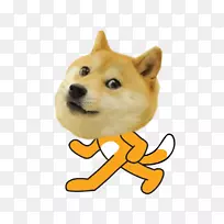 狗新浪微博形象宏-空若网 狗新浪微博形象宏-空若网