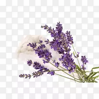 Ó¢¹úÞ¹Ò²ݼÓʪÆ÷·¨¹úÞ¹Ò²ݰþÂäÀ©É¢-¿ÕÈôÍø Ó¢¹úÞ¹Ò²ݼÓʪÆ÷·¨¹úÞ¹Ò²ݰþÂäÀ©É¢-¿ÕÈôÍø