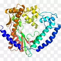 人体首饰有机体线剪贴画线-空若网 人体首饰有机体线剪贴画线-空若网