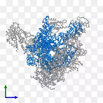 �ߵ���������-������