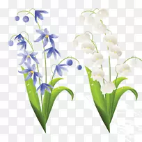 �ٺϻ�������-������