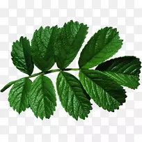 ��Ӱ����ͼ��-������