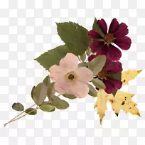 花卉设计-插花艺术-空若网 花卉设计-插花艺术-空若网