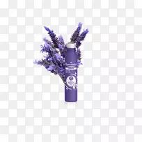 英国薰衣草油花法国薰衣草植物-花-空若网 英国薰衣草油花法国薰衣草植物-花-空若网