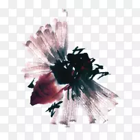 ���������.����װ��ͼ��-������