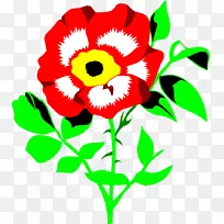 花卉设计,切花,菊花,植物茎,一年生植物-菊花-空若网 花卉设计,切花,菊花,植物茎,一年生植物-菊花-空若网