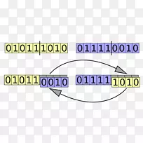 �����Ŵ��㷨�Ŵ�ѧ�������ѧ-������