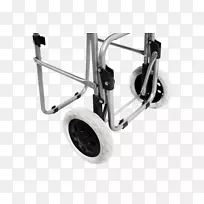 ���γ�-������