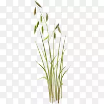 ²ÝÄ£°å¼ôÌù»-²Ý-¿ÕÈôÍø ²ÝÄ£°å¼ôÌù»-²Ý-¿ÕÈôÍø