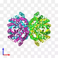 人体珠宝字体.流感嗜血杆菌-空若网 人体珠宝字体.流感嗜血杆菌-空若网