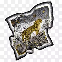 动物-空若网 动物-空若网