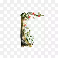 Ë®²Ê»×°ÊÎÒÕÊõ-Æ»¹ûÊ÷-¿ÕÈôÍø Ë®²Ê»×°ÊÎÒÕÊõ-Æ»¹ûÊ÷-¿ÕÈôÍø