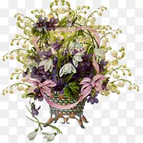 博客-空若网 博客-空若网