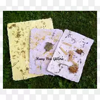 纸回收纺织染料博客-Kertas-空若网 纸回收纺织染料博客-Kertas-空若网