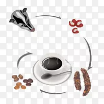 冰咖啡kopi luwak咖啡厅-猫粪咖啡形成图-空若网 冰咖啡kopi luwak咖啡厅-猫粪咖啡形成图-空若网