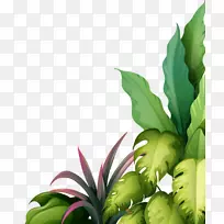 绘画剪贴画-美丽的植物-空若网 绘画剪贴画-美丽的植物-空若网