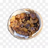 成分配方-鸡冠花(Cantharellus Cibarius)-空若网 成分配方-鸡冠花(Cantharellus Cibarius)-空若网