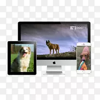 狗电视父亲节-空若网 狗电视父亲节-空若网