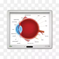 显示设备多媒体电子.精密仪器-空若网 显示设备多媒体电子.精密仪器-空若网