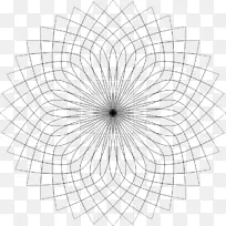 教练结构对称演播室Q线艺术-空若网 教练结构对称演播室Q线艺术-空若网