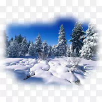 �����ֽ������Ӱ.����-������