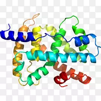 人体珠宝线有机体剪贴画线-空若网 人体珠宝线有机体剪贴画线-空若网
