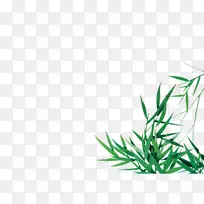 绿竹叶-空若网 绿竹叶-空若网